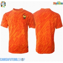 Camisa de time de futebol França Goleiro Replicas 2º Equipamento Europeu 2024 Manga Curta